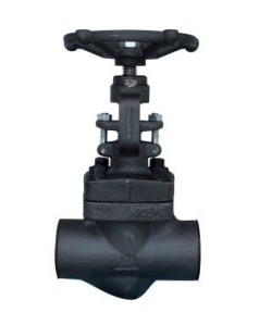 Forged globle valve