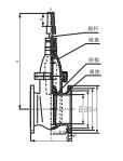 SZ45T/W-10/16 invisible rod gate valve