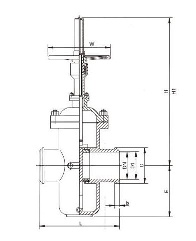 Flat gate valve with diversion hole 3