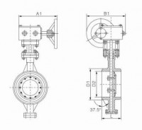 D363H/Y welded butterfly valve