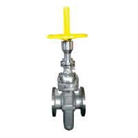Flat gate valve with diversion hole 2